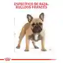 Royal Canin Alimento Para Perro Adulto Bulldog Francés 3 Kg