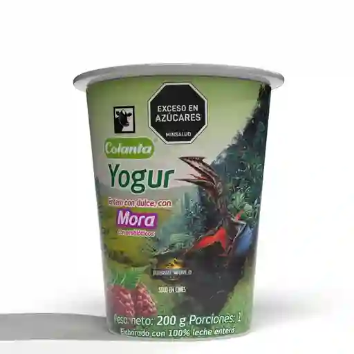 Yogur Entero Mora Colanta Vaso x 200 g