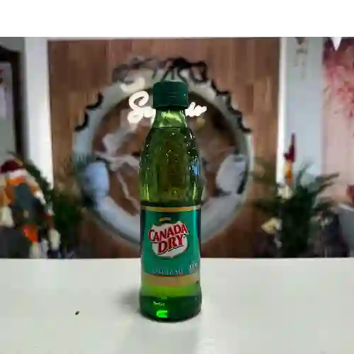Canada Dry 300 ml