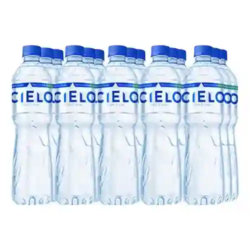 Agua en Botella 350 ml