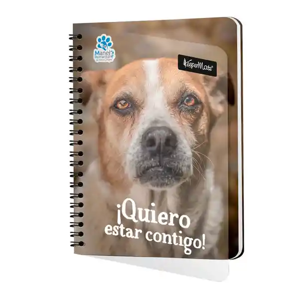 Scribe Cuaderno Argollado Pasta Flexible Legis 105