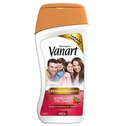 Vanart Shampoo Capilar Reduccion Caida Bondades Chile 600 Ml