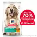 Hills Alimento para Perro Adulto Perfect Weight Sabor a Pollo