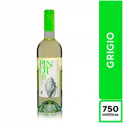 Cantina Colli Euganei Pinot Grigio 750 ml