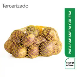 Papa Sabanera Gruesa