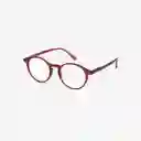 Izipizi Gafas Reading D Rojo Rosy +2.0