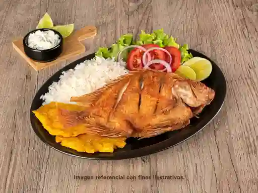 Mojarra Frita