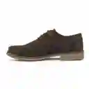 Croydon Zapatos Aris Para Hombre Café Talla 41
