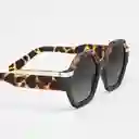 Tiwi Gafas de Sol Valette Diseño Español Café