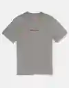 Camiseta Hombre Gris Talla LARGE 4290006 American Eagle