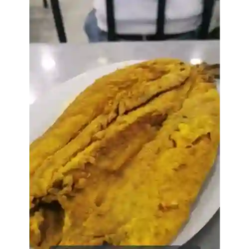 Picuda