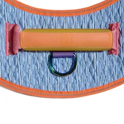 Zee.dog - Galaxy Flyharness