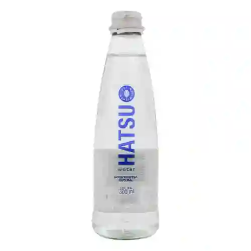 Agua Hatsu Natural 500Ml