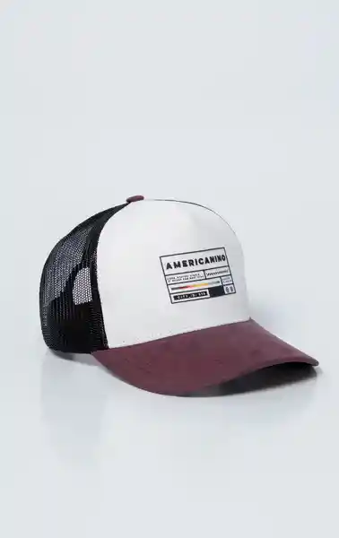 Gorra Unisex Morado Talla M 752G506_MOR181506 Americanino