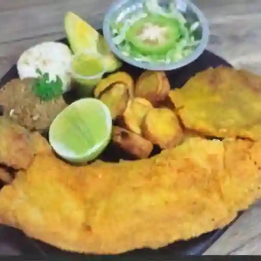 Trucha de 450 Gramos
