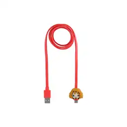 Cable de Carga Tipo C Serie Harry Potter Hermione Miniso