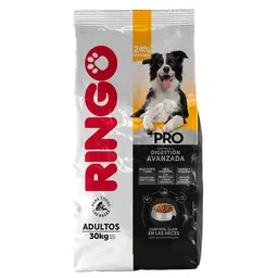 Ringo Alimento Para Perro Seco Adulto +Pro