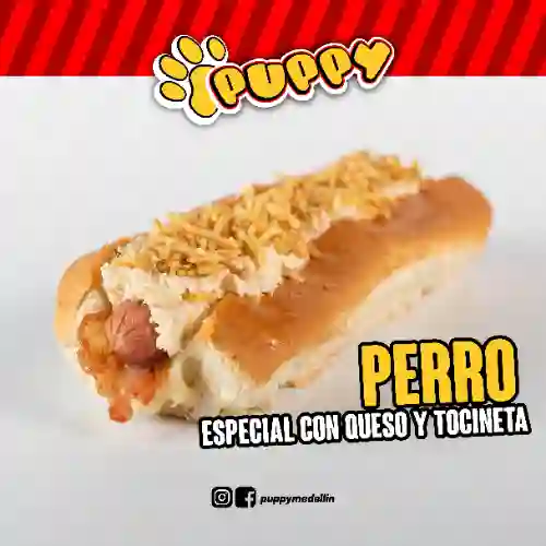 Puppy Grande Queso y Tocineta