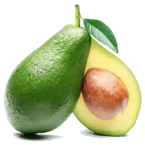 Aguacate Papelillo