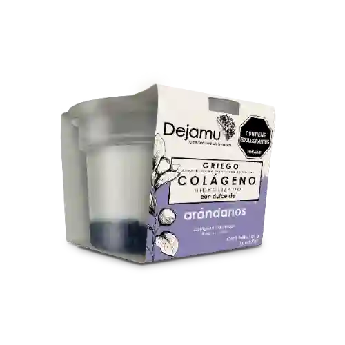 Yogurt Griego con Colageno con Dulce de Arandano X 160 gr