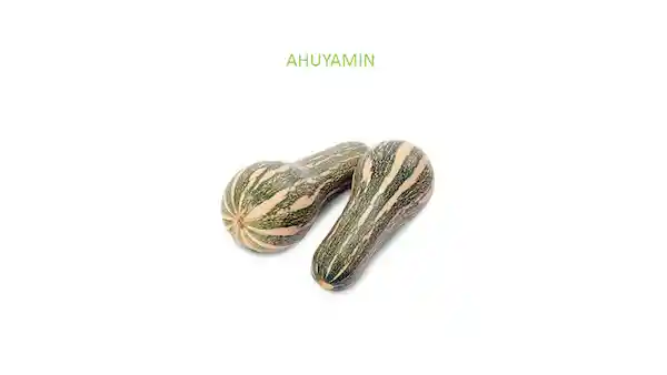 Ahuyamin