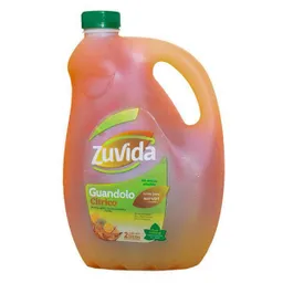 Bebida Guandolo Citrico Zuvida