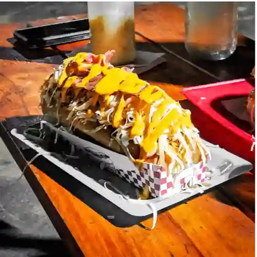 Perro Especial