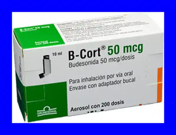 B-Cort (50 mcg)