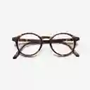 B+D Gafas Reading Loop Carey + 1.00