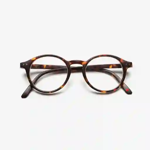 B+D Gafas Reading Loop Carey + 1.00