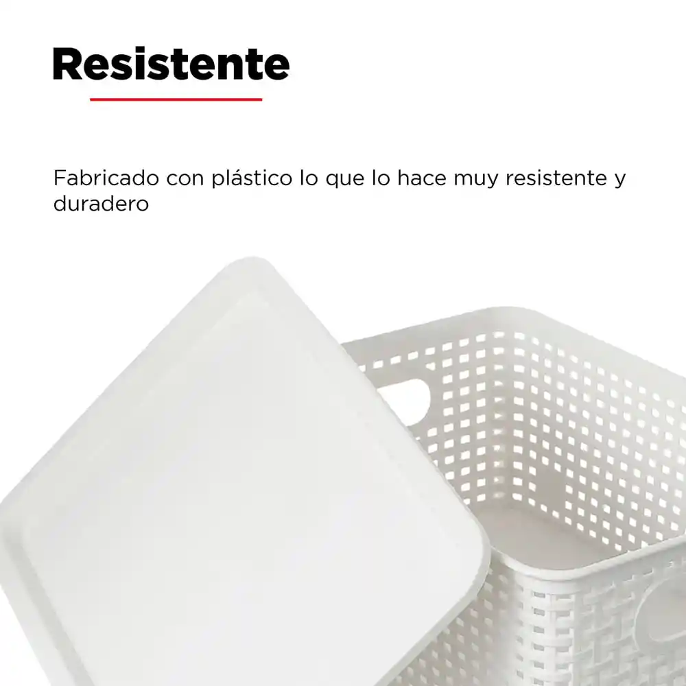 Caja de Plastico Con Cobertura L