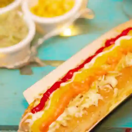 Perro Tradicional