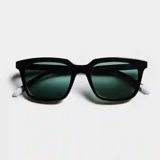 Barner Gafas Sun Holly Ne