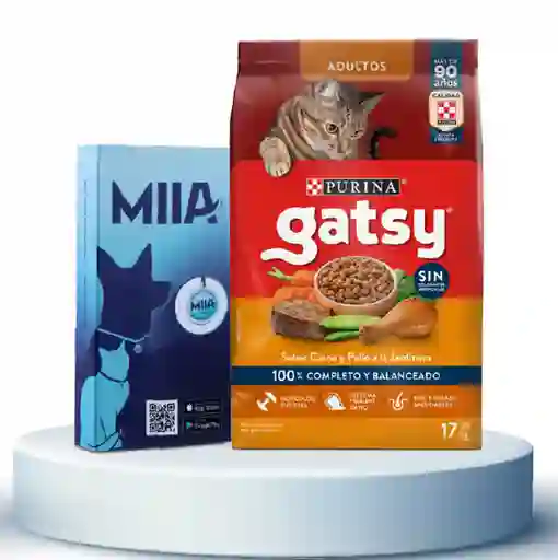 Combo Miia + Alimento Para Gato Gatsy Adultos Carne y Pollo
