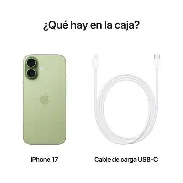 Apple iPhone 17 512Gb Sage