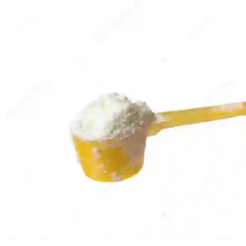 Leche en Polvo