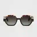 Tiwi Gafas de Sol Valette Diseño Español Café