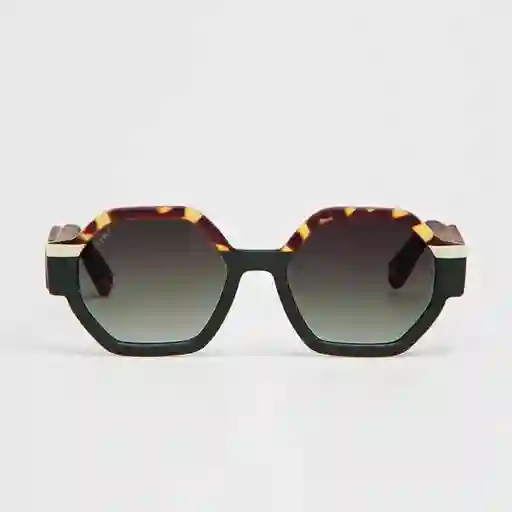 Tiwi Gafas de Sol Valette Diseño Español Café