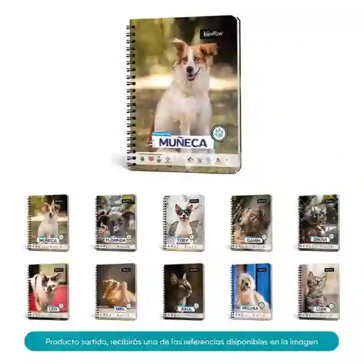 Keepermate Cuaderno Adopción Cuadriculado Argollado 80 Hojas