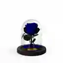 Rosa Preservada Azul Oscuro Mini