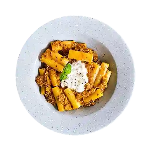 Rigatone Bolognese