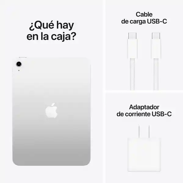 Apple iPad Wi-Fi 512Gb Gris 11