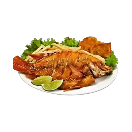 Mojarra Frita