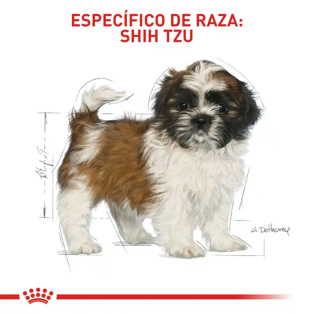Royal Canin Alimento para Perro Cachorro de Raza Shih-Tzu