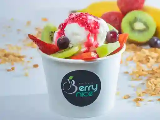 Ensalada de Frutas con Helado 16 Onz