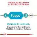 Royal Canin Breed Health Nutrition Golden Retriever Puppy