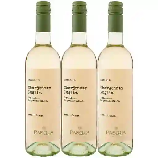  Vino Pascua Ch Ardo Nay Dipuglia 2X3 X750 Ml 