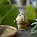 Hoptimist Figura Antiestrés León