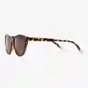 Barner Gafas Sun Astoria Carey