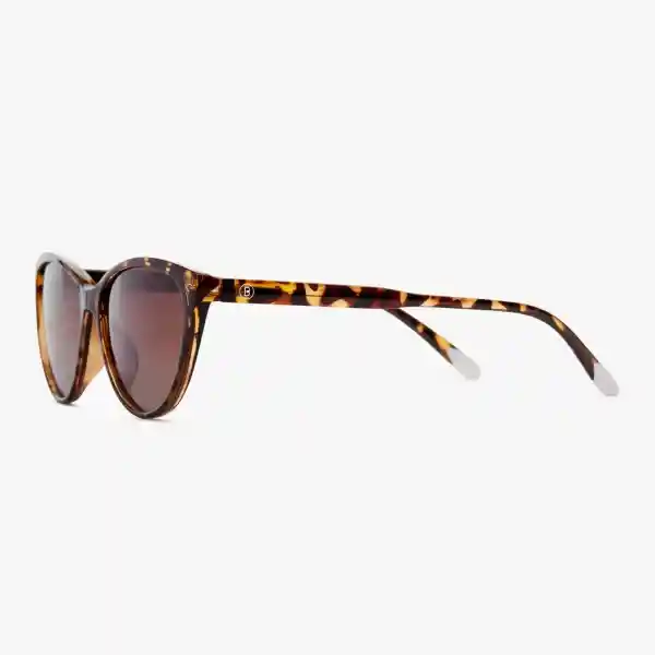Barner Gafas Sun Astoria Carey
